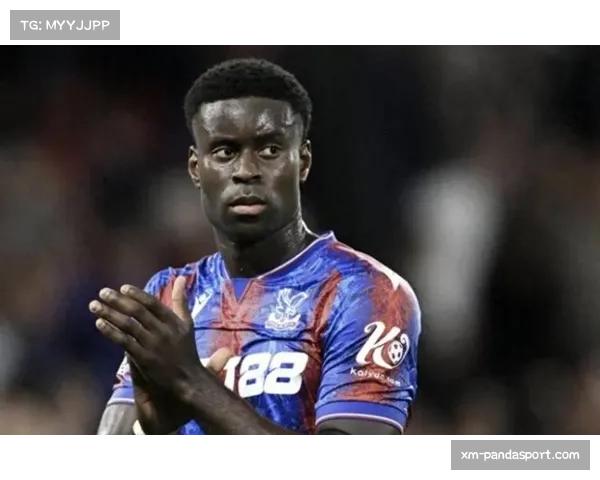 水晶宫中卫格伊身价暴涨至5000万欧 明夏可免签引多支豪门关注